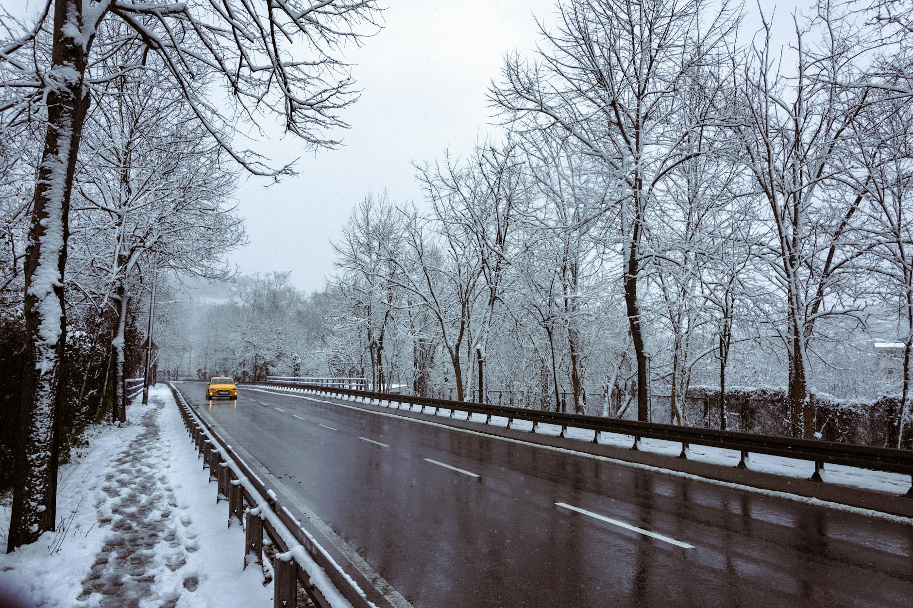 Żółta taksówka jedzie zimą samotnie po ośnieżonej leśnej drodze
