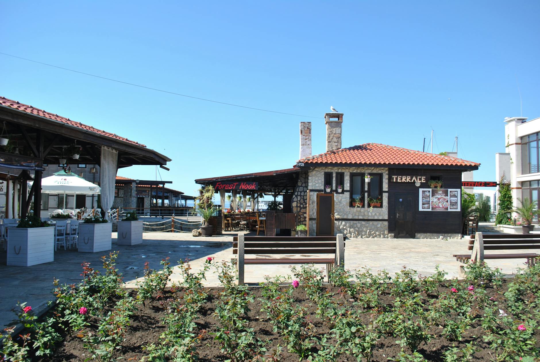 Słoneczny taras kawiarniany z kwiatami nad brzegiem morza