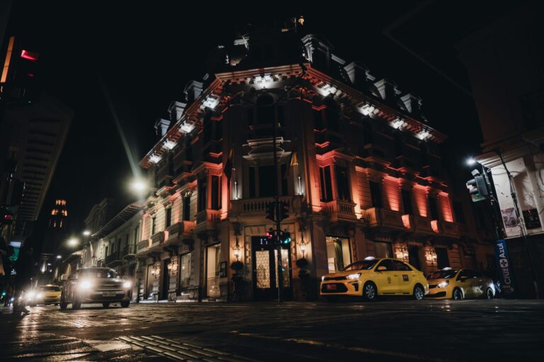 Przejazd taxi z psem w dużym mieście. Regulaminy korporacji, dopłaty i dobre praktyki