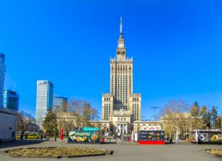Przejazd taxi z psem w dużym mieście. Regulaminy korporacji, dopłaty i dobre praktyki
